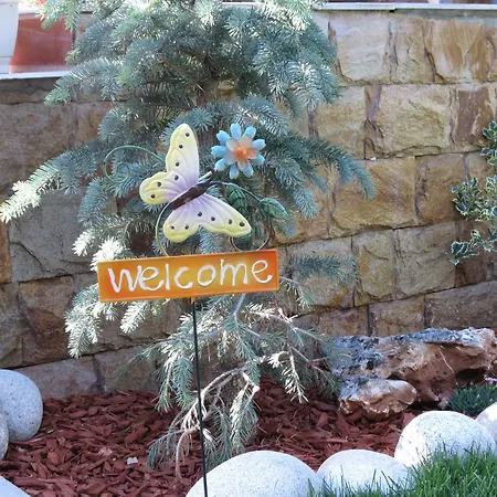 Aurora ゲストハウス *